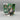 Bandai S.H. Figuarts One Piece Roronoa Zoro - Romance Dawn Action Figure